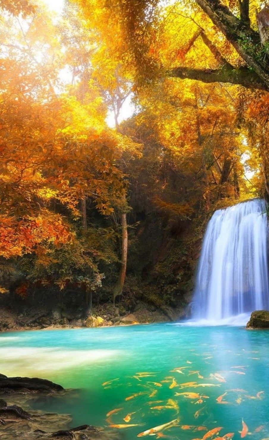 Android, autumn waterfall, turquoise pool, HD Phone Wallpaper