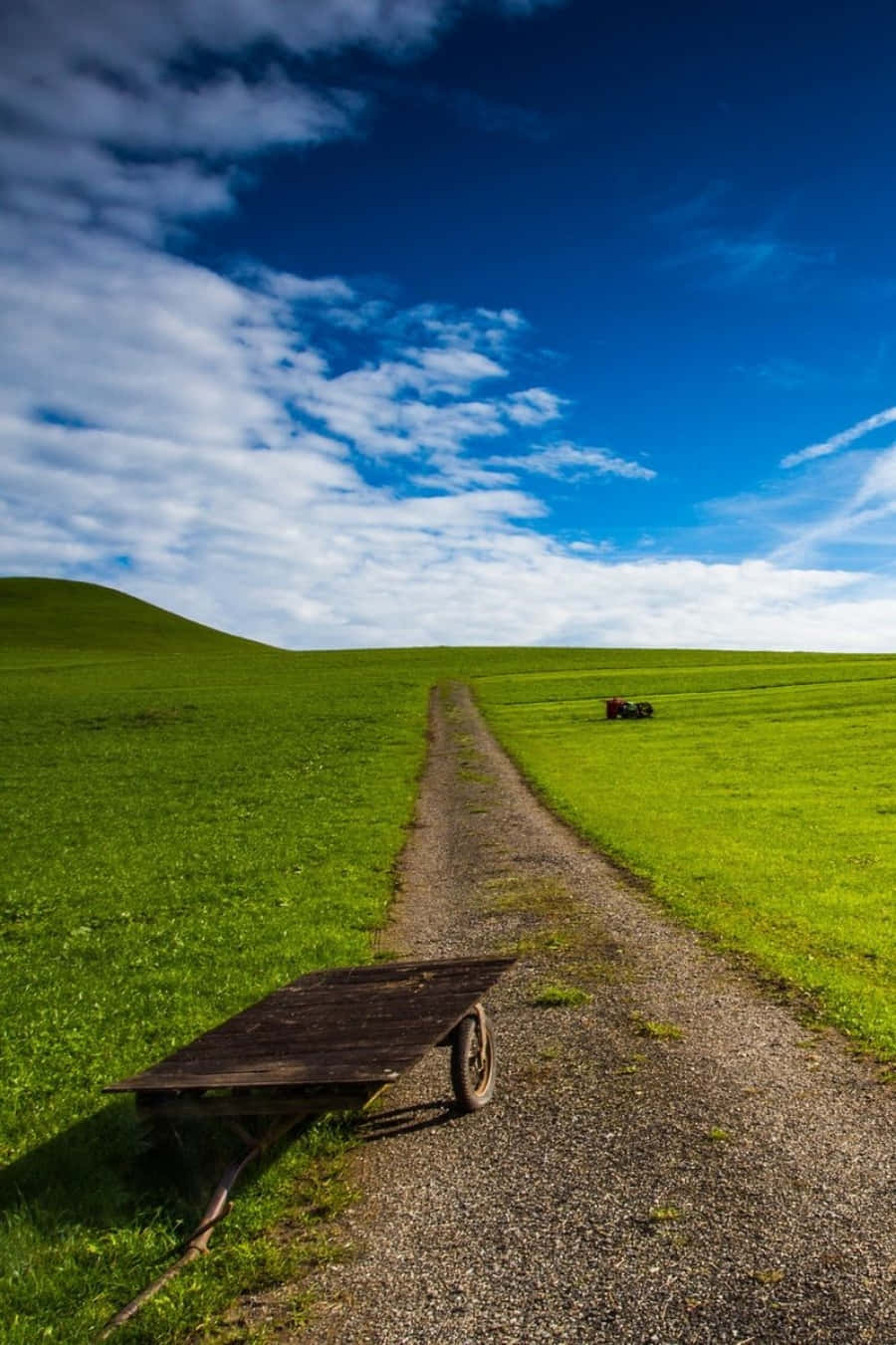android nature, gravel path, vibrant green fields, HD Phone Wallpaper