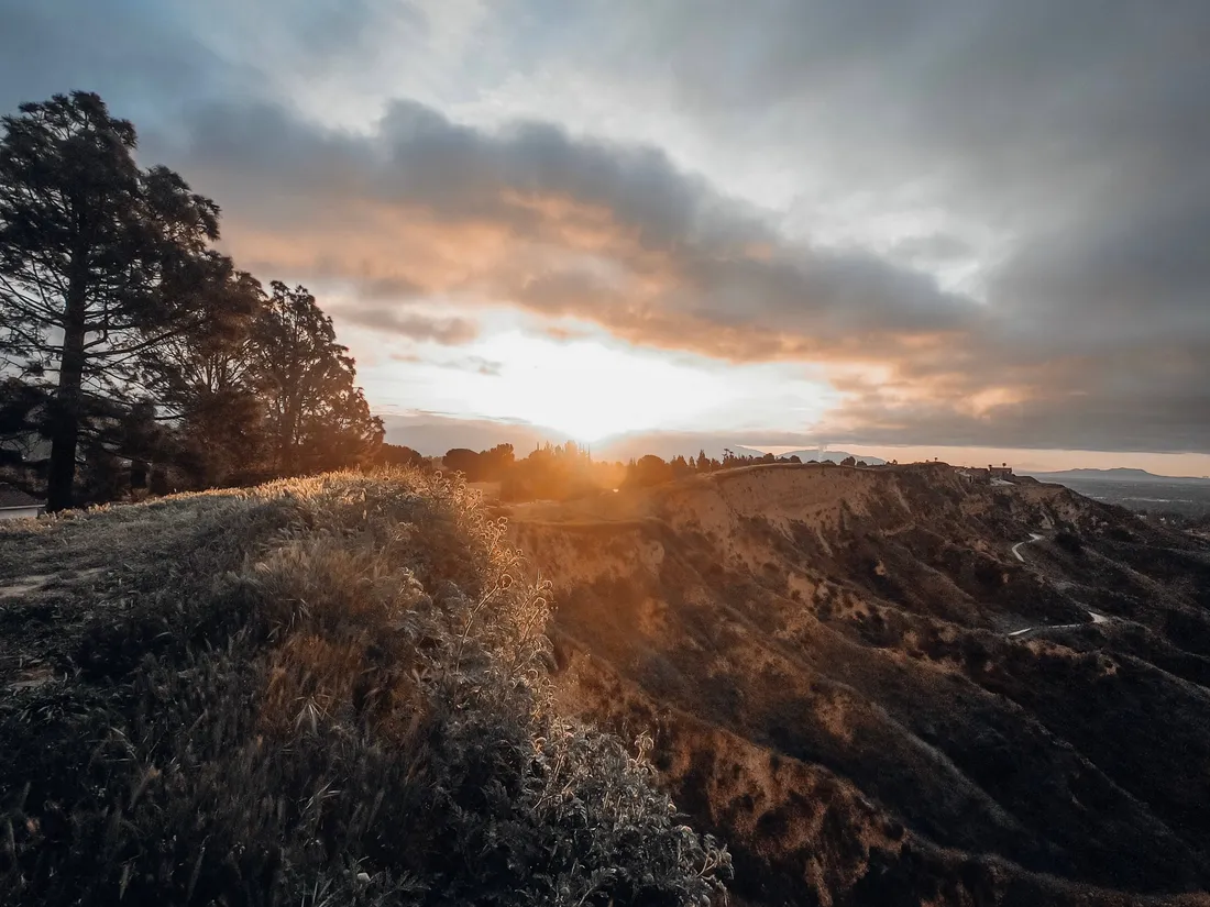Nature Blur