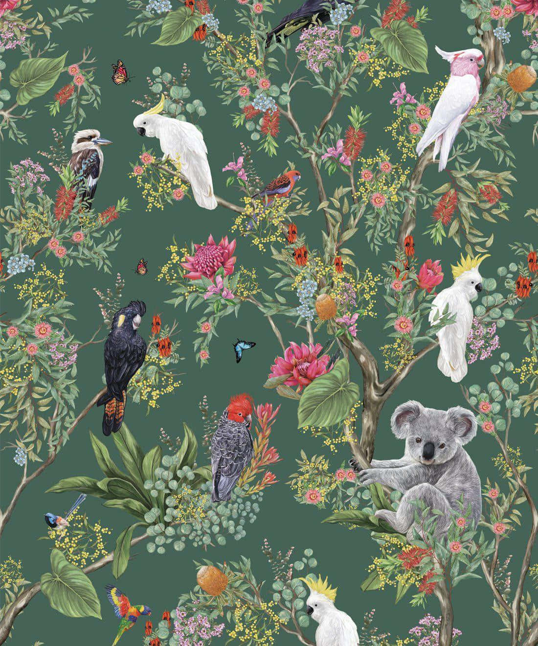 Enchanted Forest Birds and Fauna Pattern, Australian wildlife, koalas, HD Phone Wallpaper