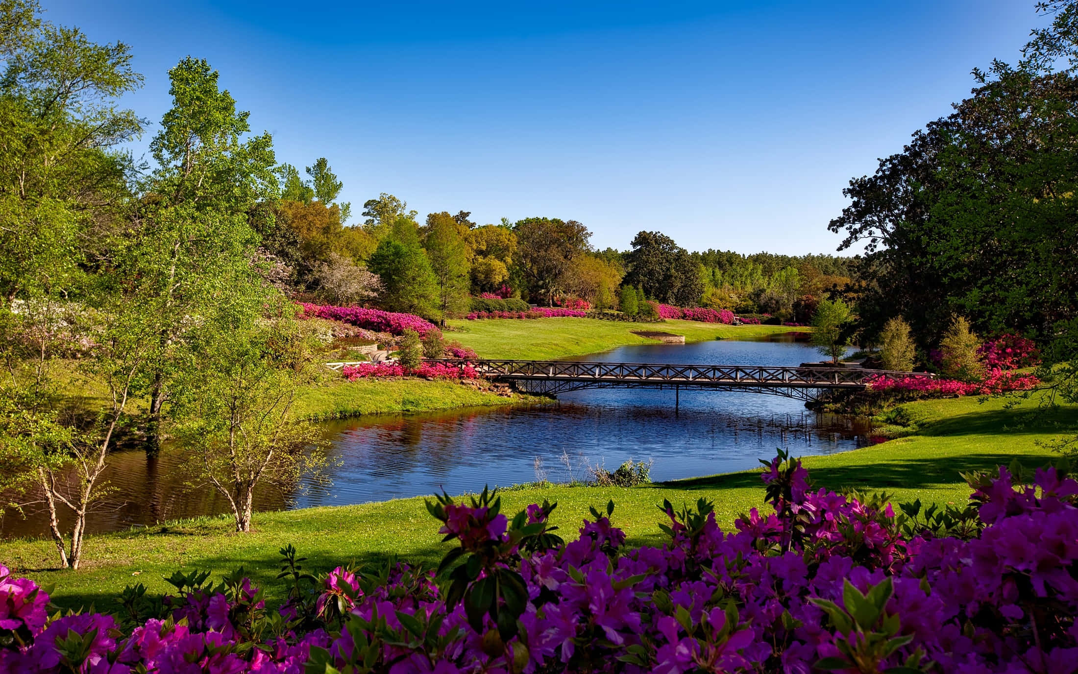 golf course, wooden bridge, calm river, Full HD Desktop Wallpaper