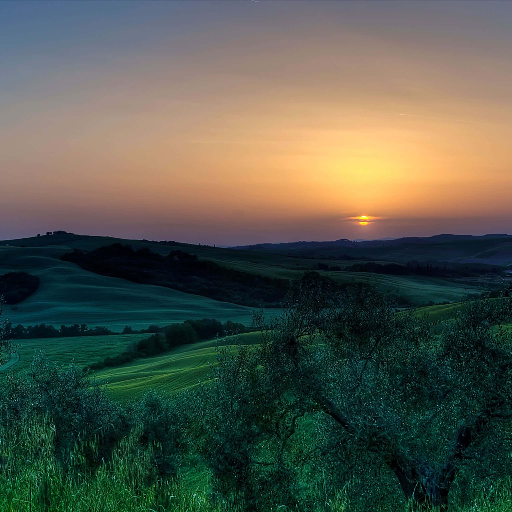 Sunset, rolling green hills, warm orange, Full HD Desktop Wallpaper