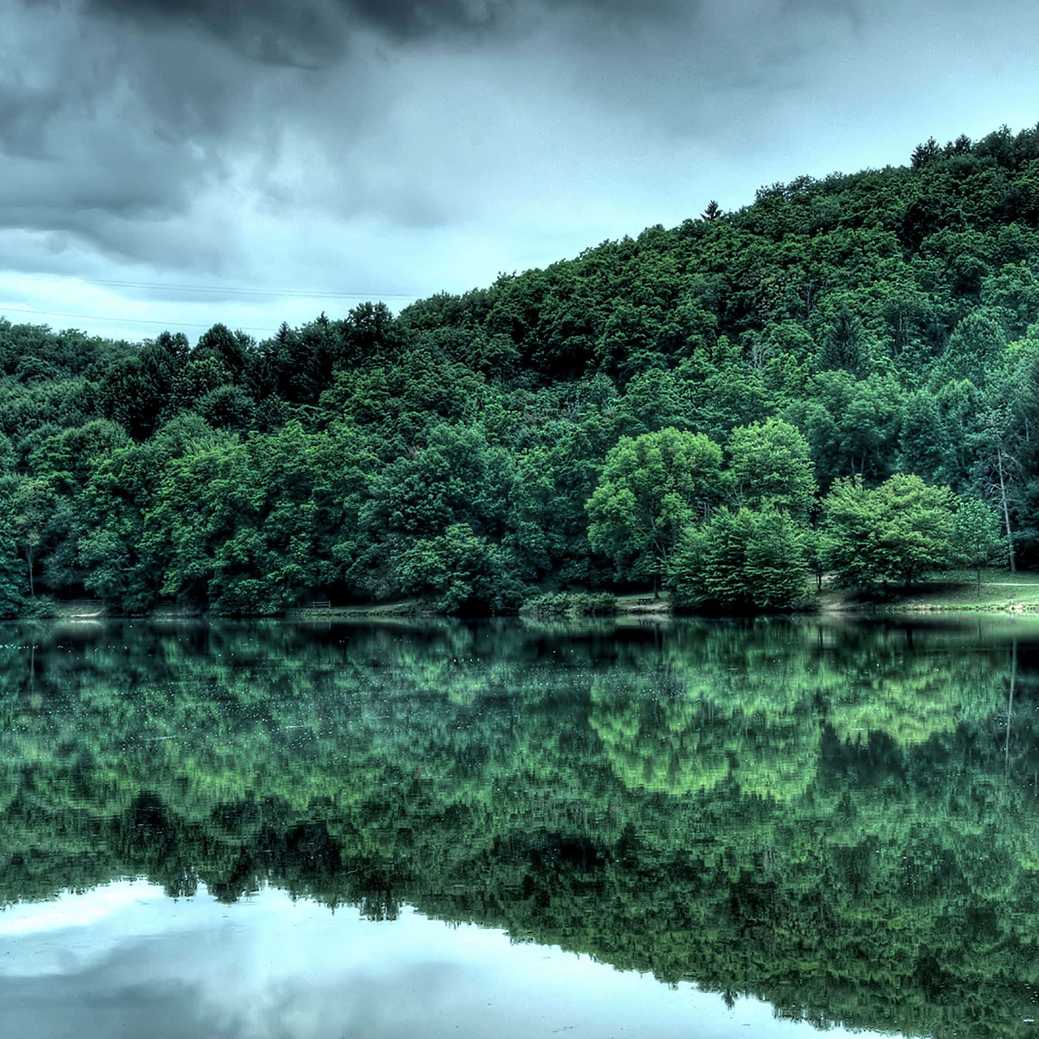 Nature iPad, lake, lush green trees, Full HD Desktop Wallpaper