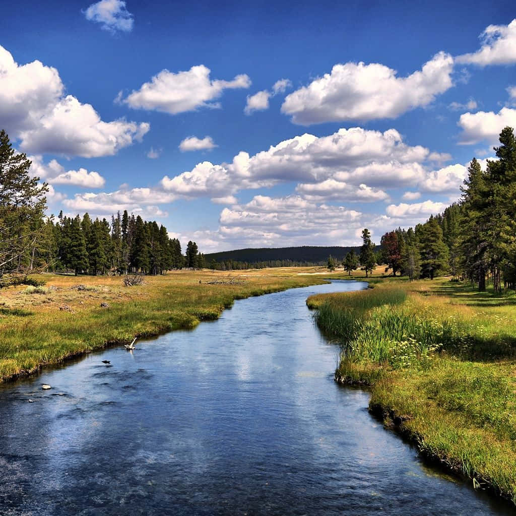 iPad, winding river, sunlit meadow, SD Desktop Wallpaper