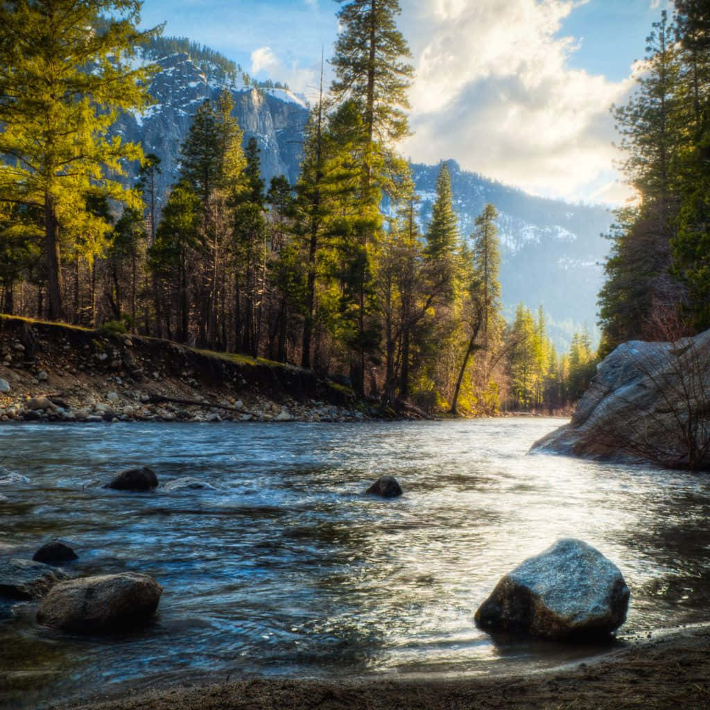 Nature iPad, sunlit river, mossy rocks, SD Desktop Wallpaper