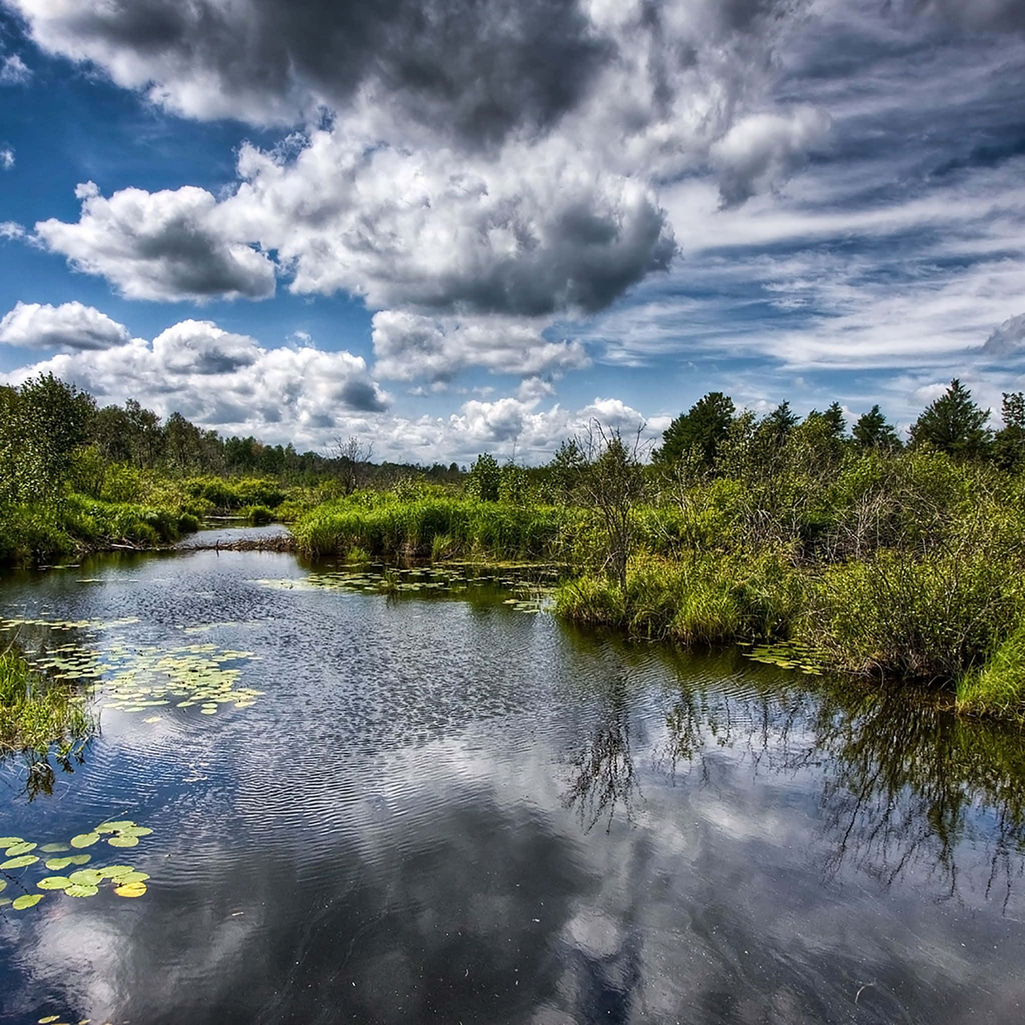Nature iPad, river, lush green marshland, Full HD Desktop Wallpaper