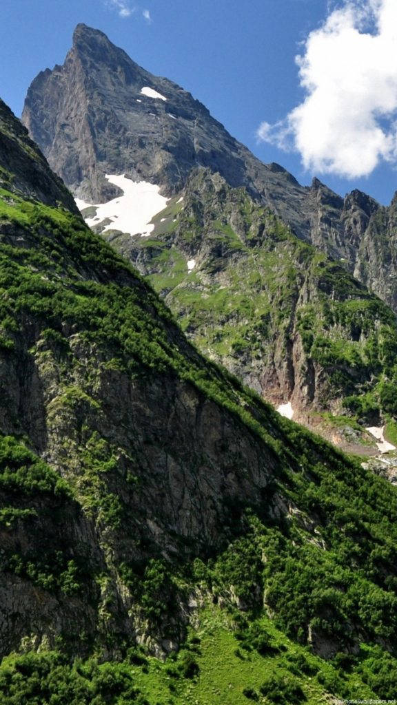 mountain forest, rocky mountain peak, snow, SD Phone Wallpaper
