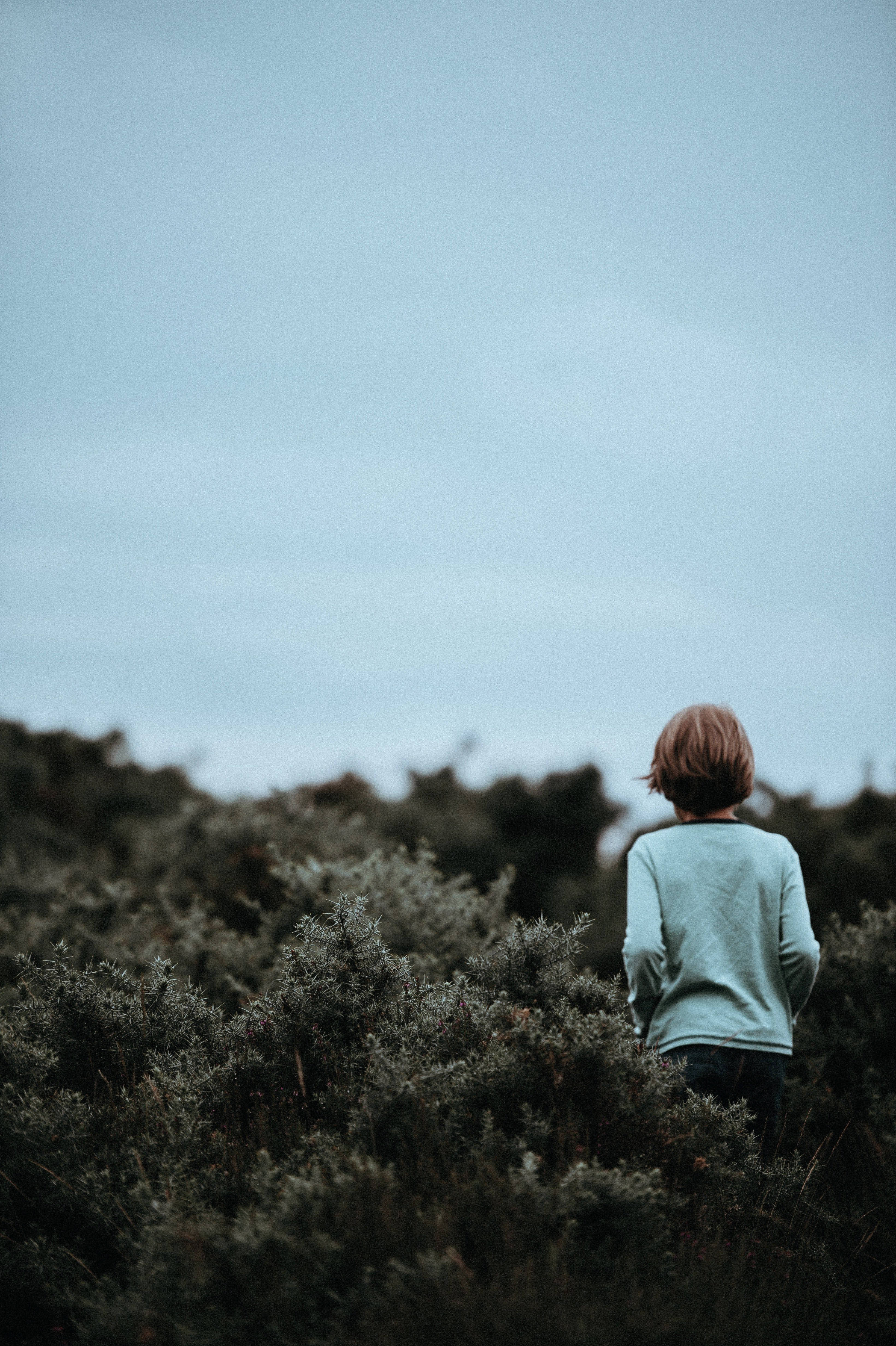 child, light blue shirt, dense gray-green shrubs, 4K Phone Wallpaper