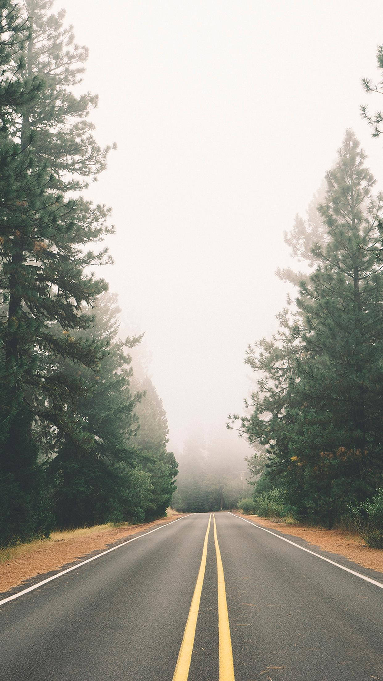 vintage iPhone, nature, trees, Full HD Phone Wallpaper
