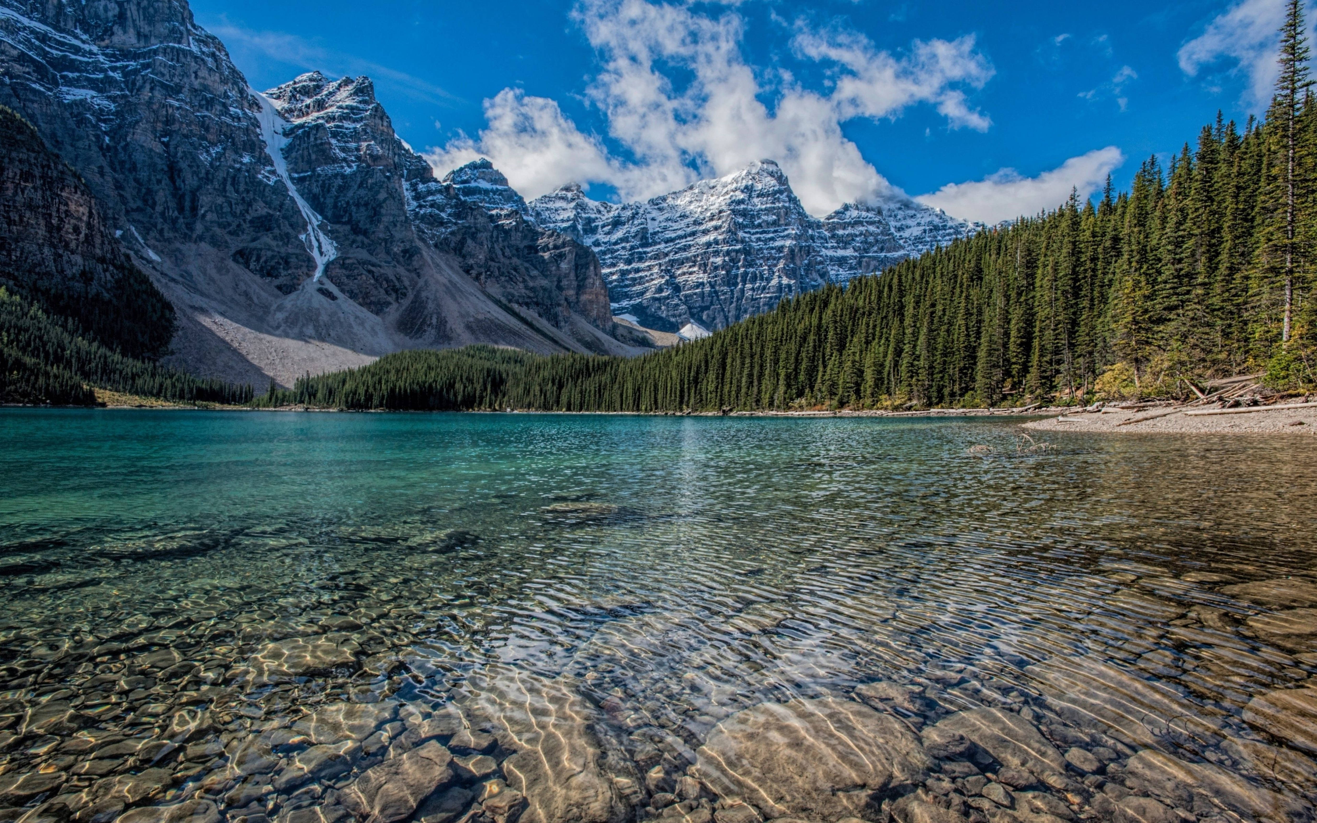 turquoise lake, snow capped mountains, pine forests, 5K Desktop Wallpaper