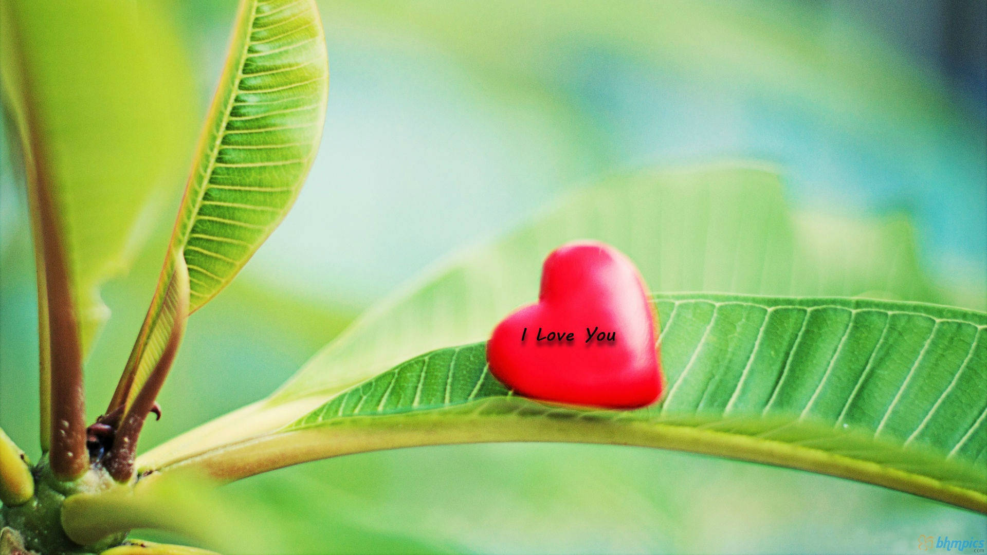 Nature Love, heart, red, Full HD Desktop Wallpaper
