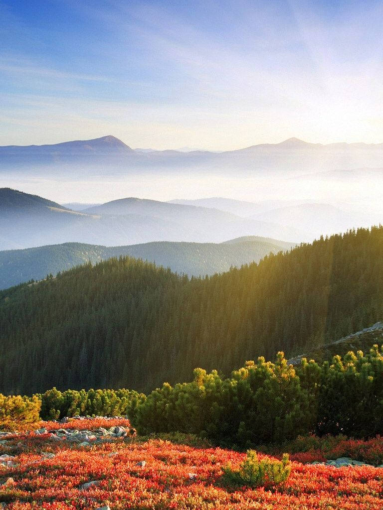 green mountains, sunlight, misty forested valleys, SD Phone Wallpaper