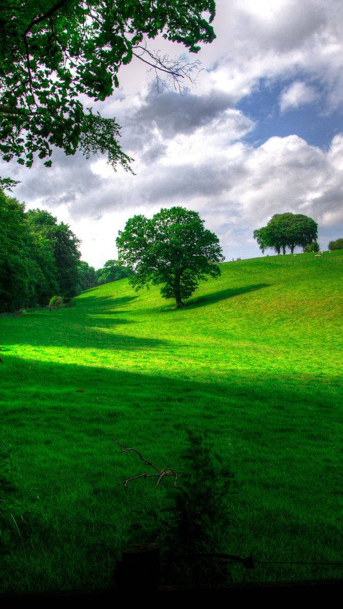 green hills, vibrant green hillside, sunlight, SD Phone Wallpaper
