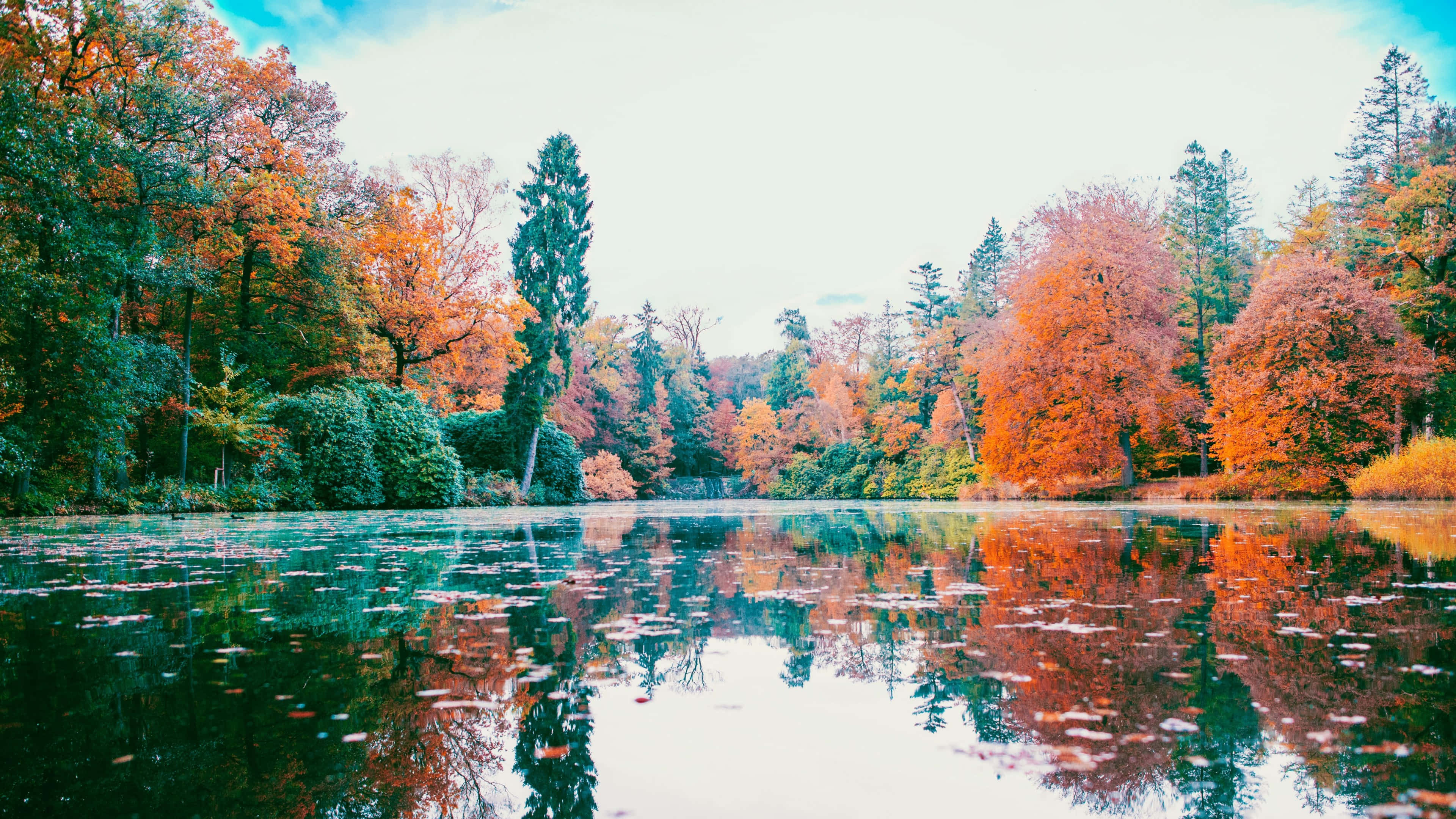 autumn lake, fiery orange and green trees, soft blue sky, 4K Desktop Wallpaper