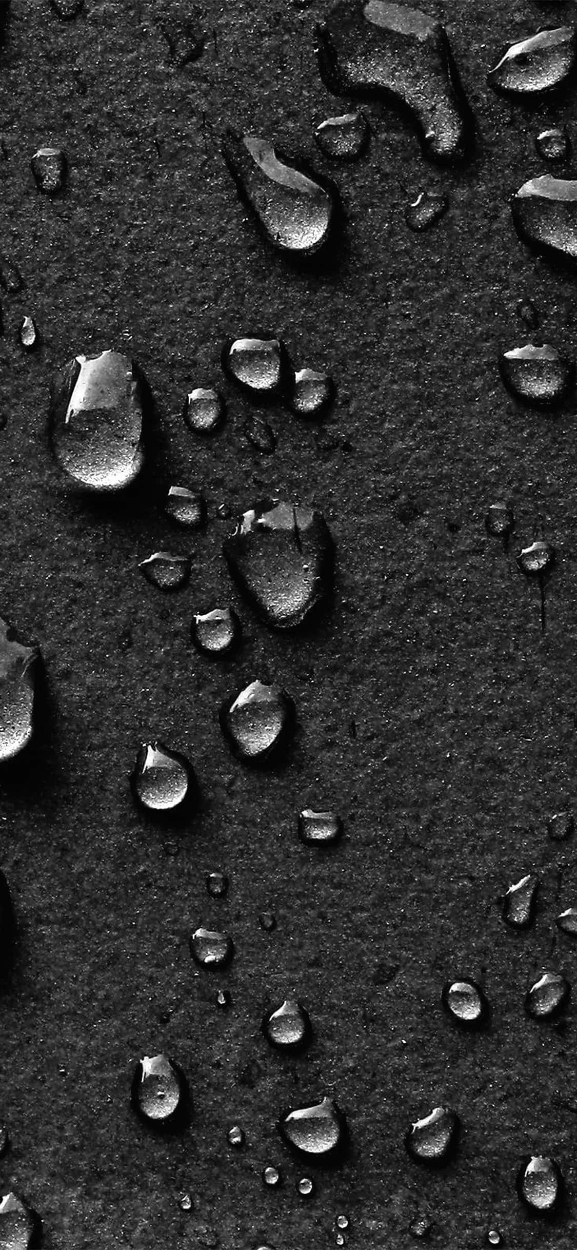 dark nature, glistening water droplets, textured dark surface, Full HD Phone Wallpaper