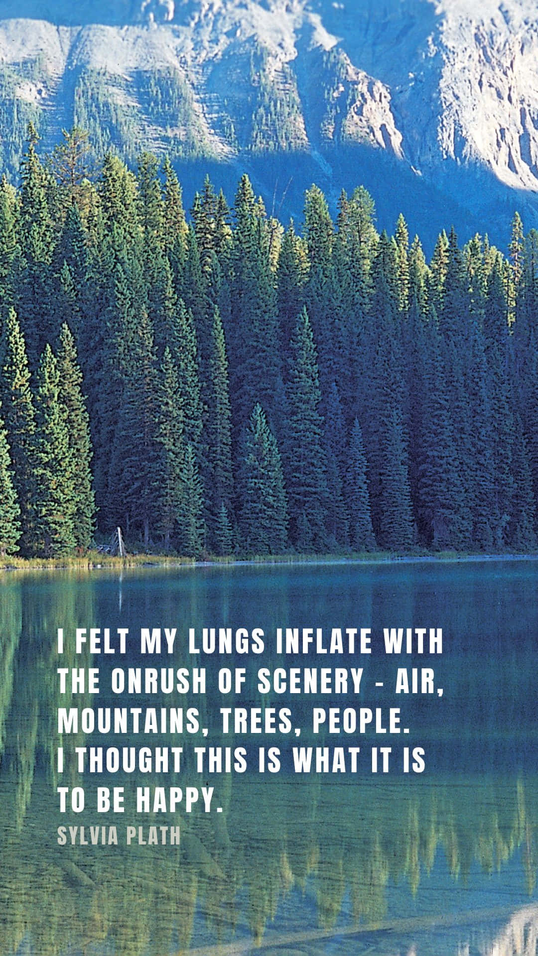 serene wilderness, mountain lake, evergreen forests, Full HD Phone Wallpaper