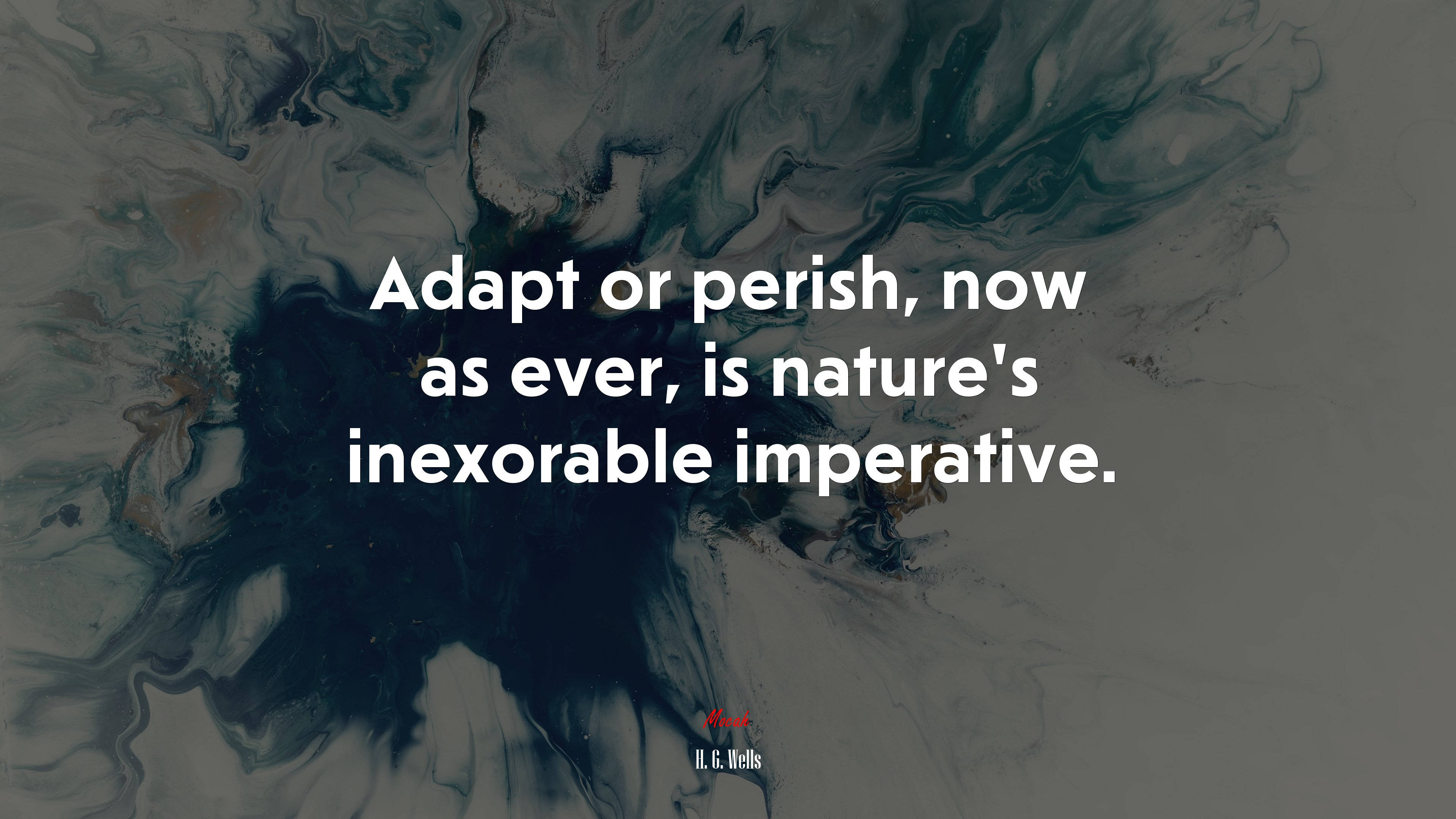 Nature Quotes, deep blues, grays, 4K Desktop Wallpaper