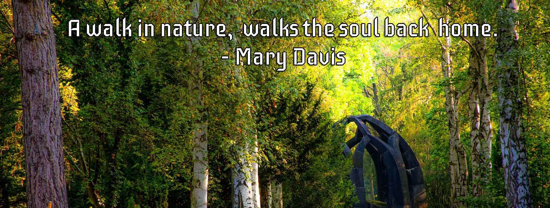 modern black sculpture, dense green foliage, serene forest, HD Desktop Wallpaper
