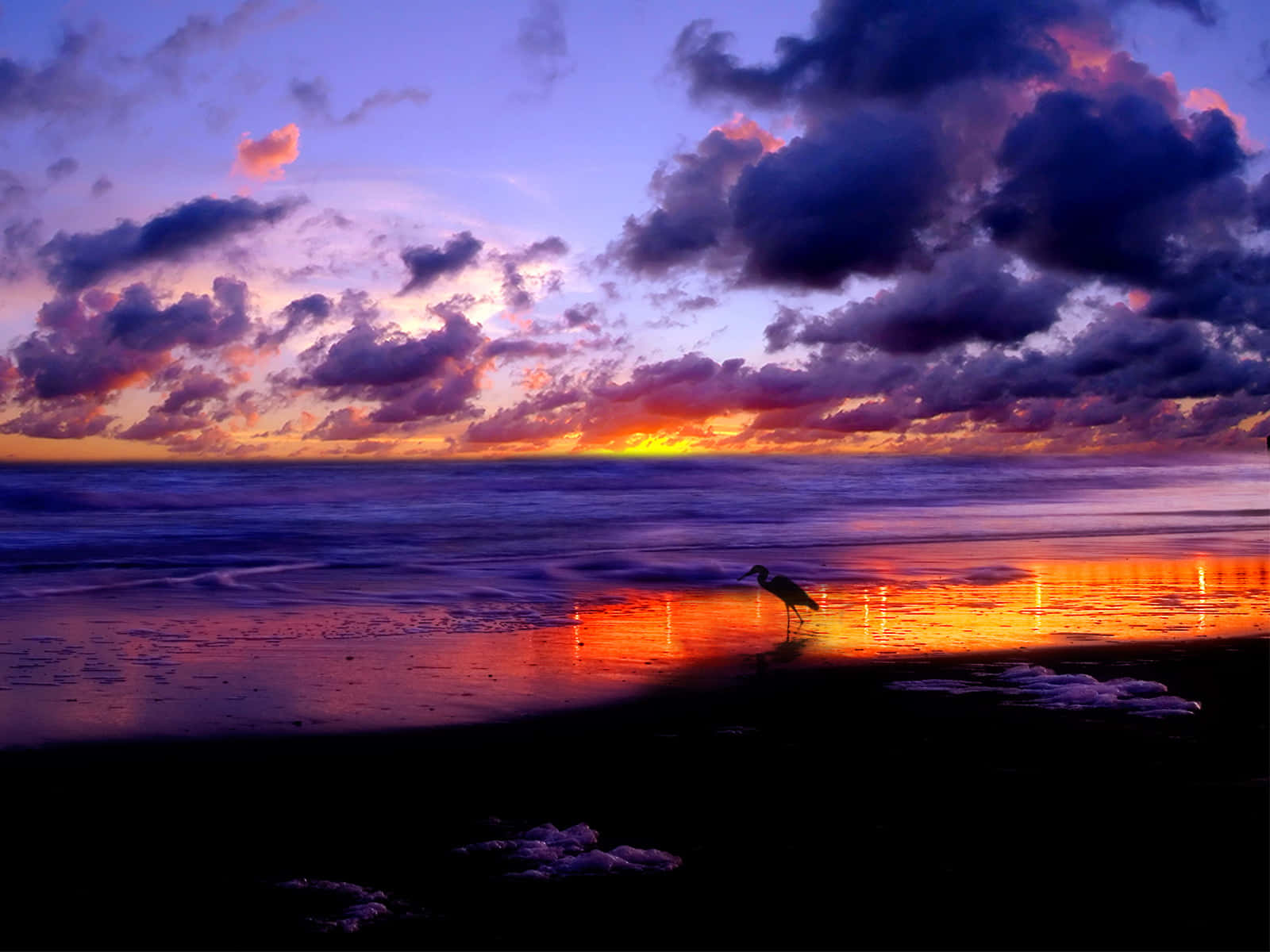 sunset, wet beach, fiery orange and purple clouds, HD Desktop Wallpaper