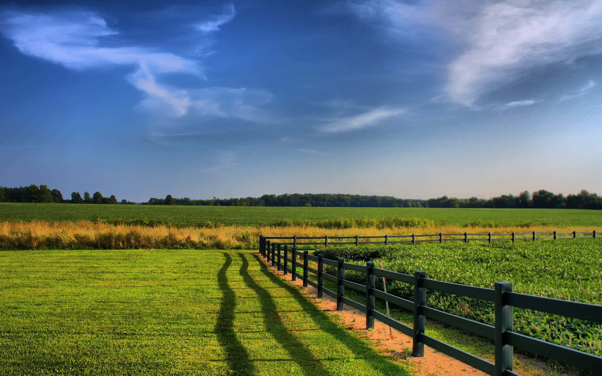 natural resources, vibrant green fields, dramatic blue sky, Full HD Desktop Wallpaper
