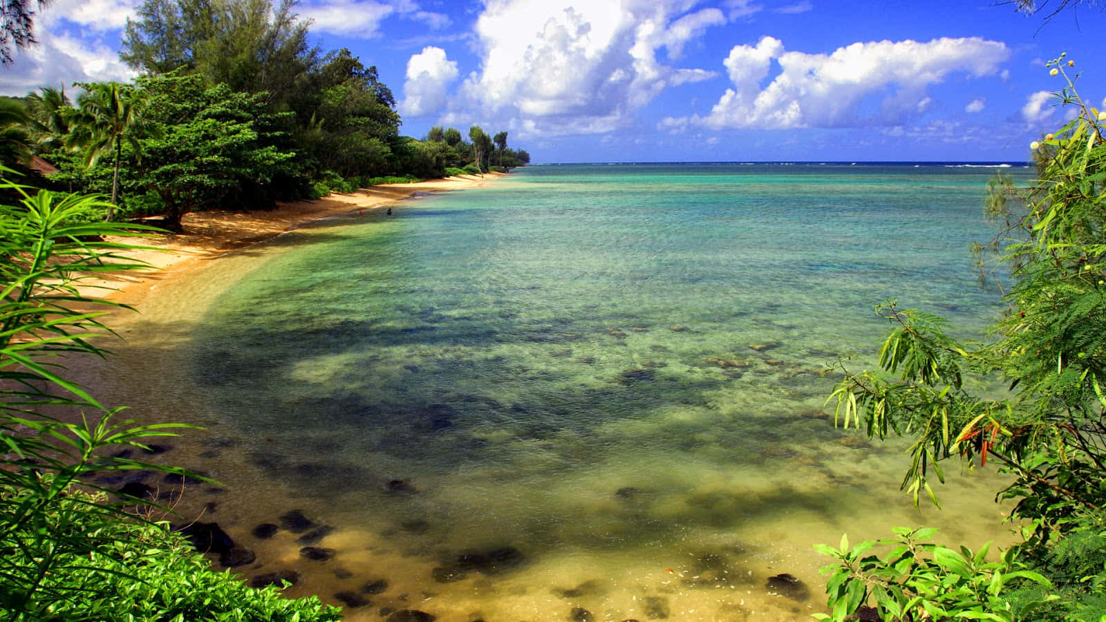 tropical beach, turquoise waters, sandy shore, HD Desktop Wallpaper