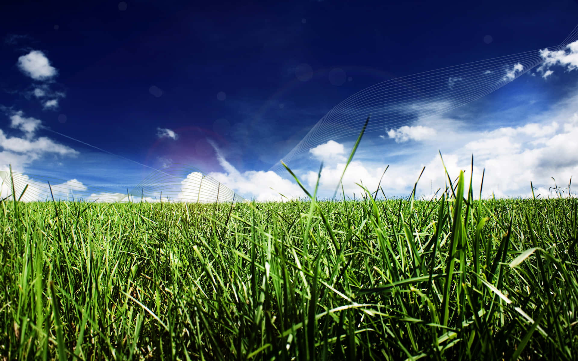 vibrant green grass, vivid blue sky, fluffy white clouds, Full HD Desktop Wallpaper