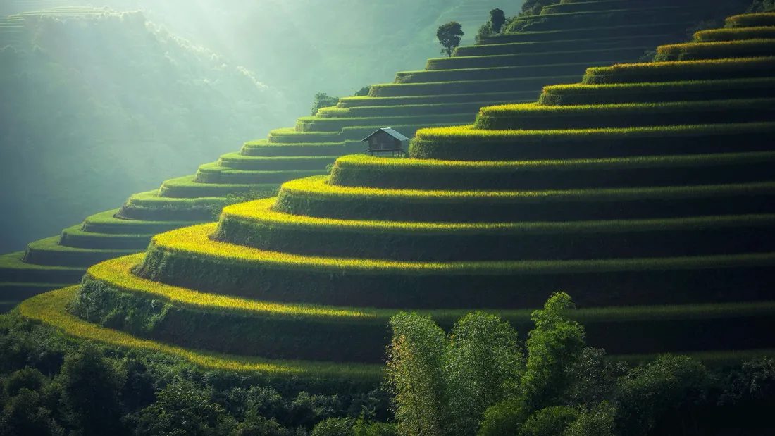 Nature Scenes