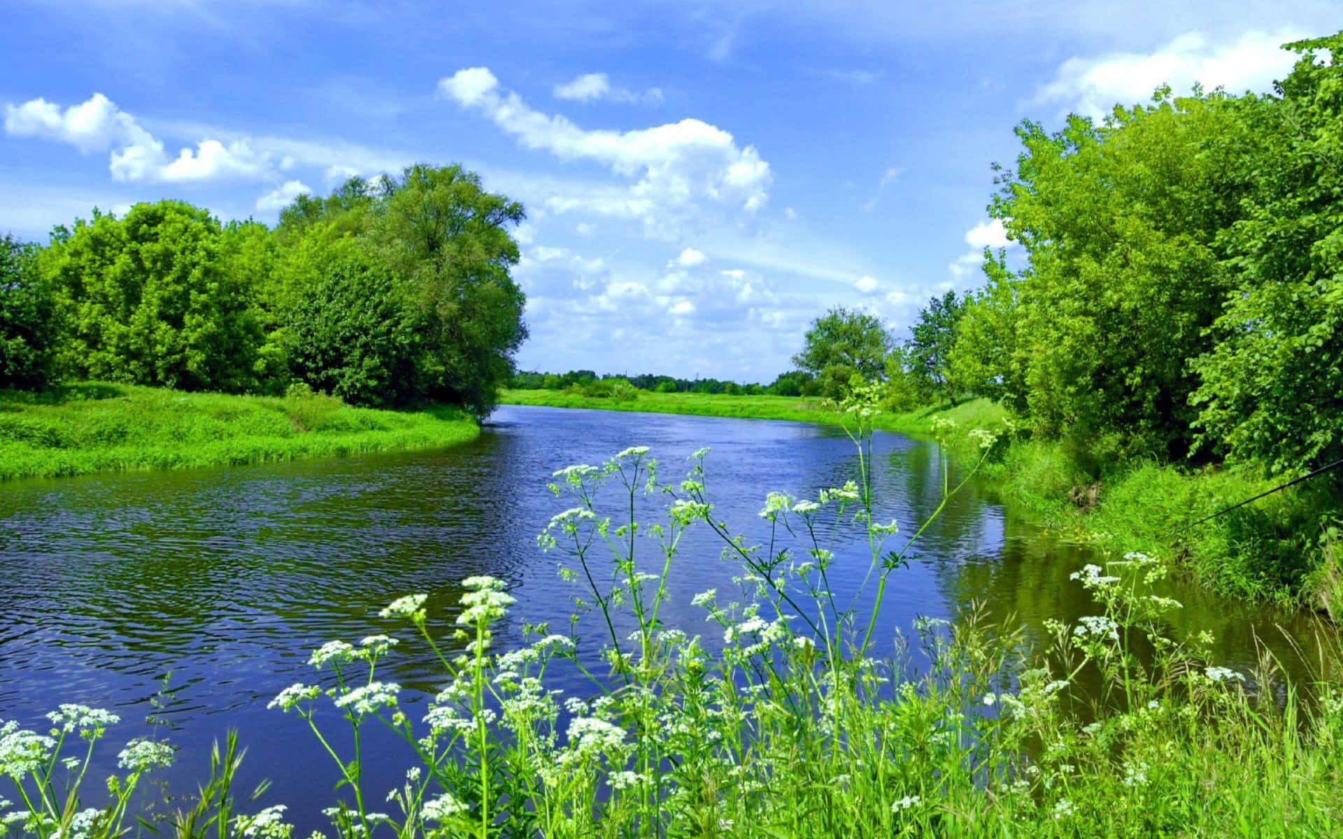serene river, lush green forests, bright blue sky, Full HD Desktop Wallpaper