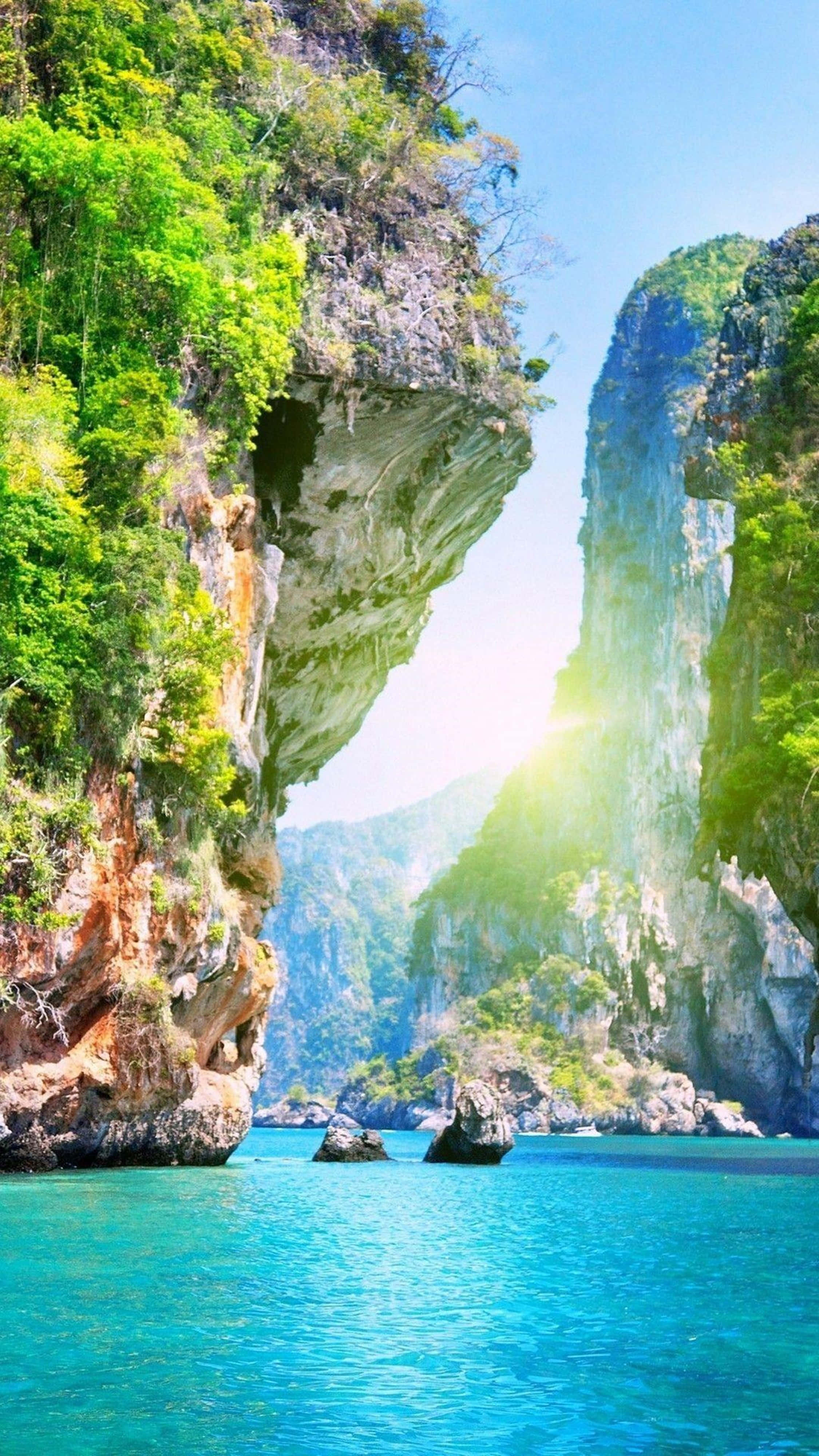 4K Nature, iPhone, sunlight, 4K Phone Wallpaper