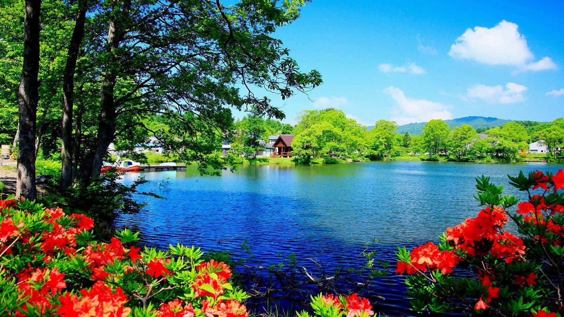 vibrant red flowers, serene blue lake, lush green trees, Full HD Desktop Wallpaper