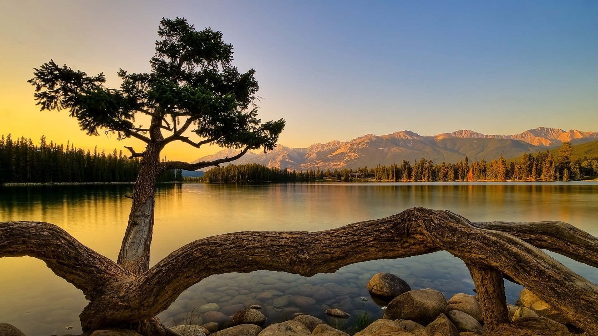lakeside, calm lake, sunset, Full HD Desktop Wallpaper