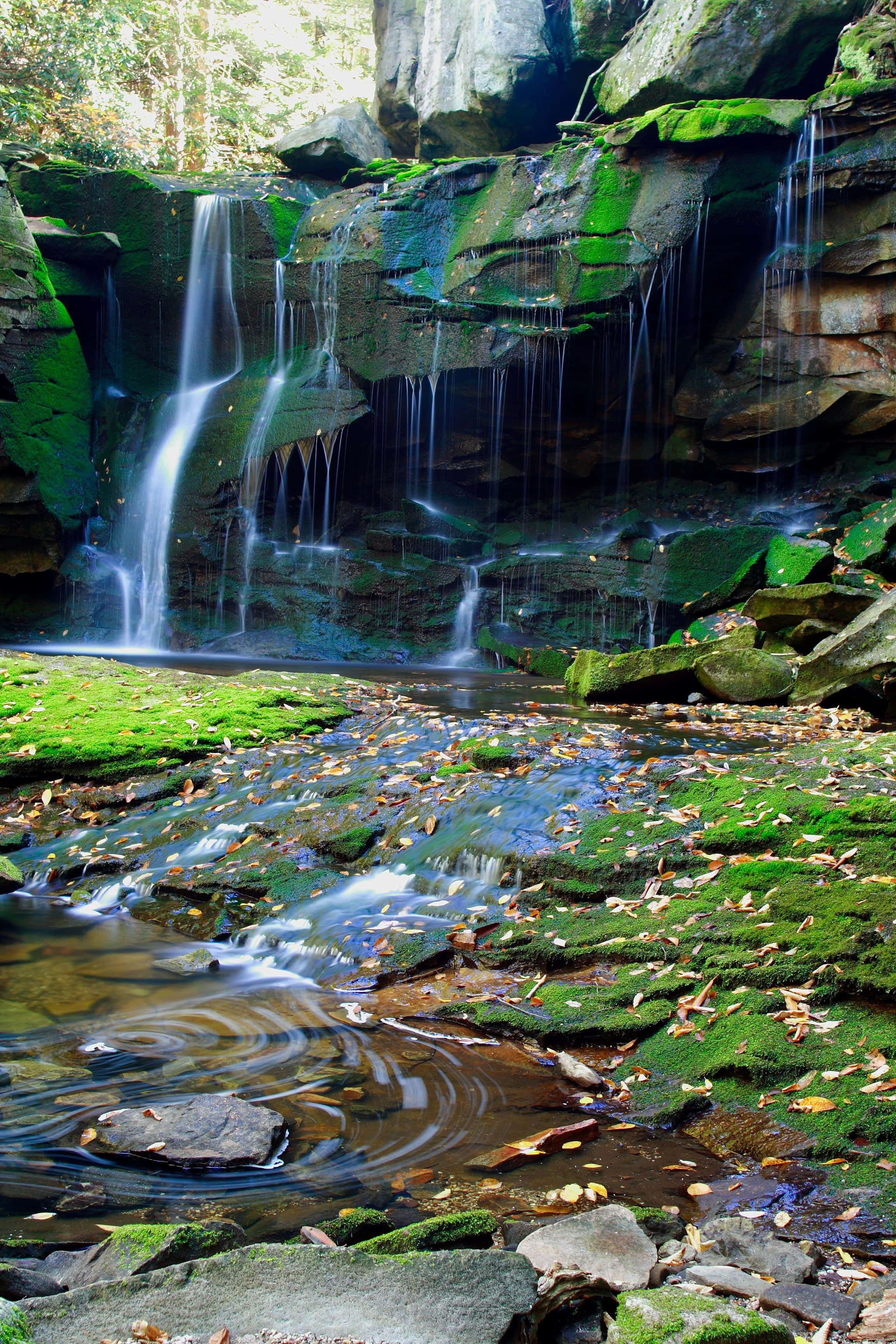 green valley, serene waterfall, mossy rocks, 2K Phone Wallpaper