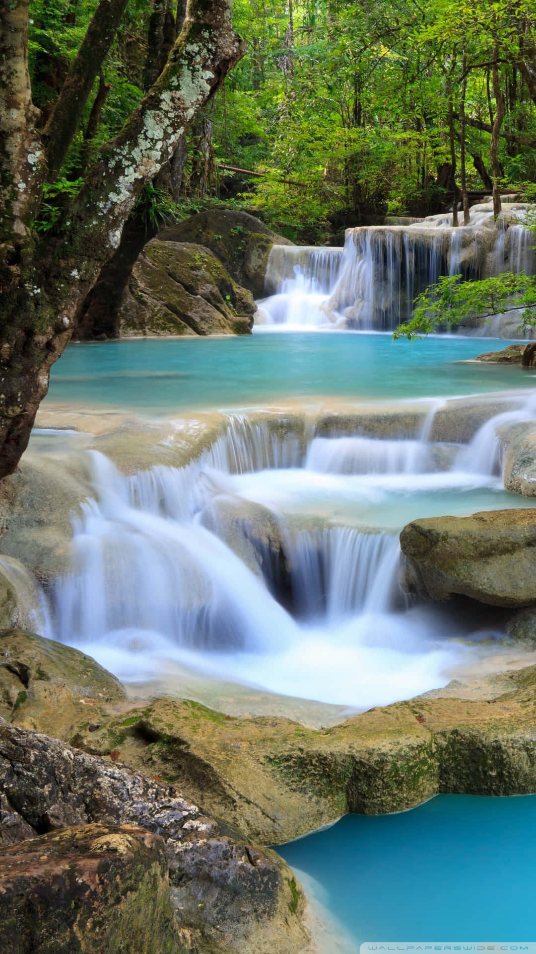 turquoise waterfall, mossy rocks, lush green forest, Full HD Phone Wallpaper