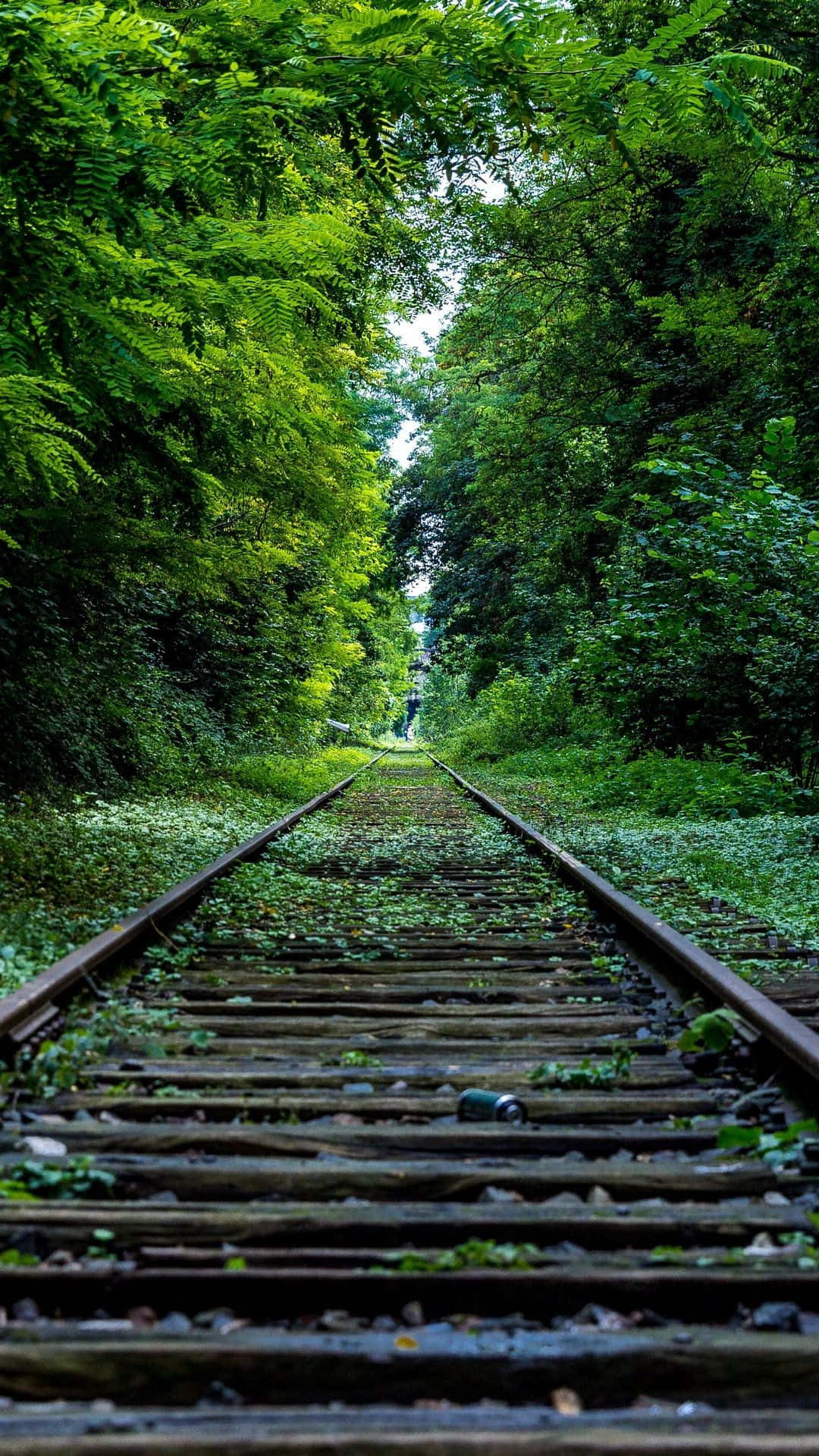 river valley, railway track, lush green forest canopy, Full HD Phone Wallpaper