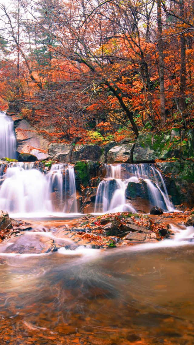 autumn, waterfall, mossy rocks, SD Phone Wallpaper