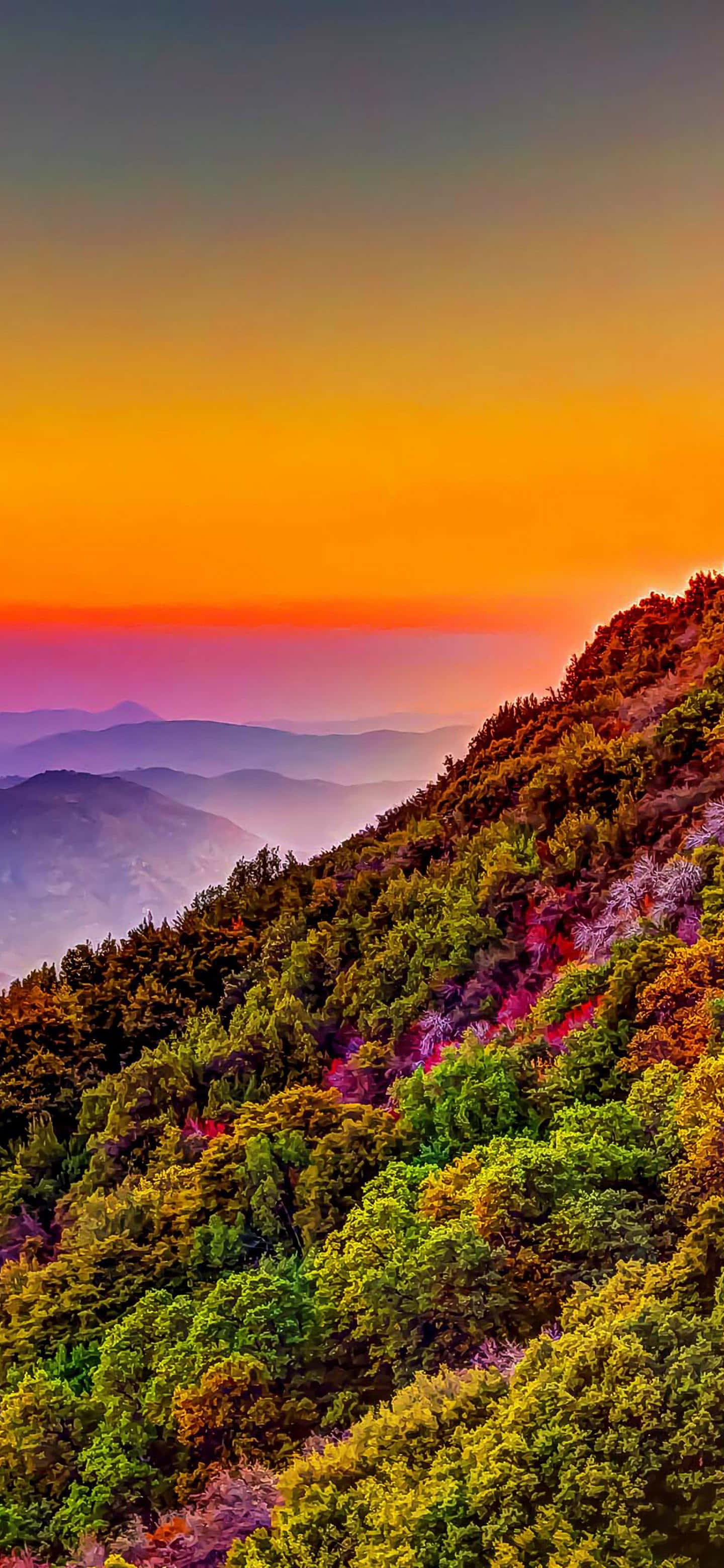 sunset, fiery orange, purple, 2K Phone Wallpaper