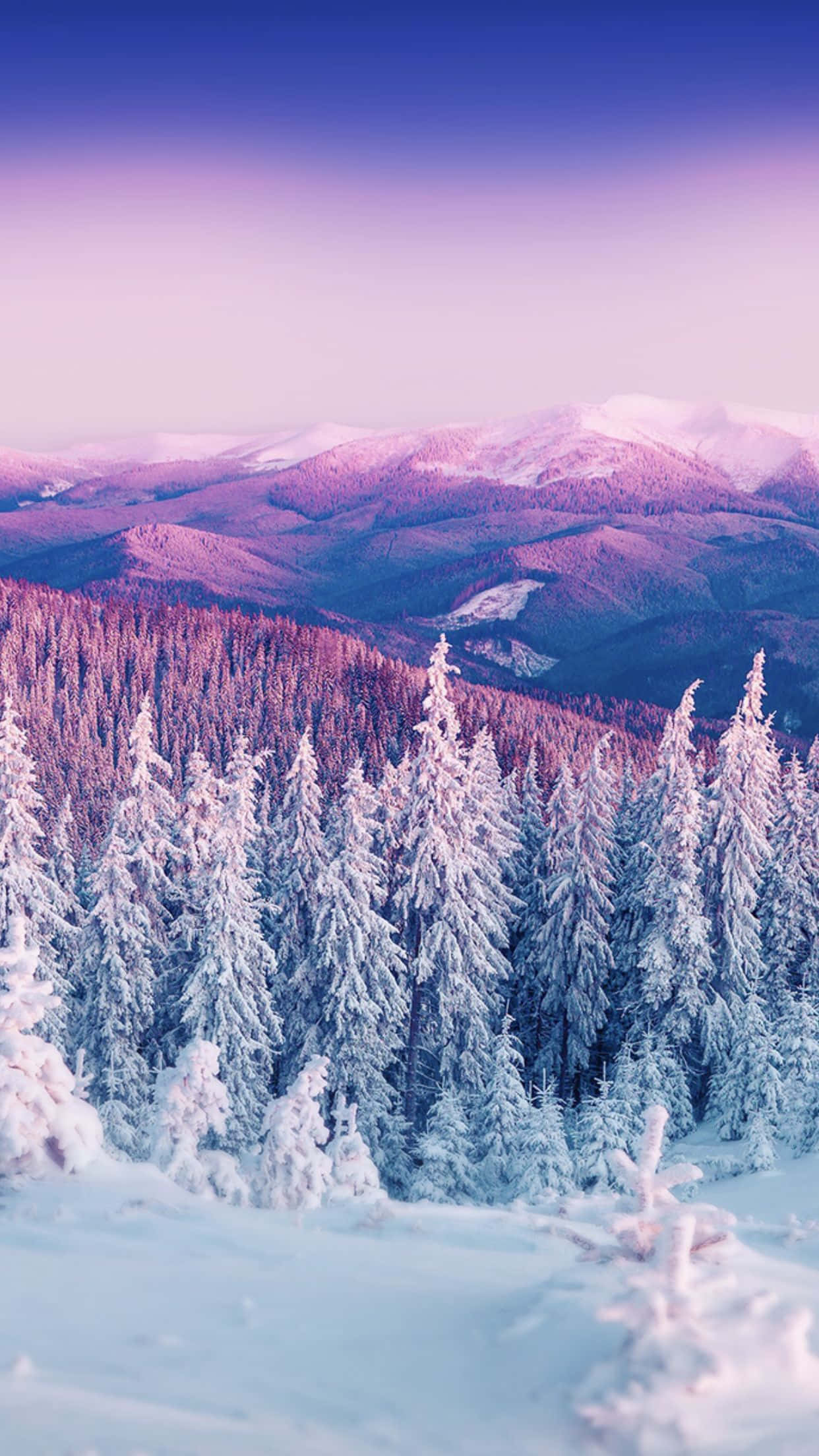 snow-covered pine trees, mountain valley, soft purple and blue twilight sky, Full HD Phone Wallpaper
