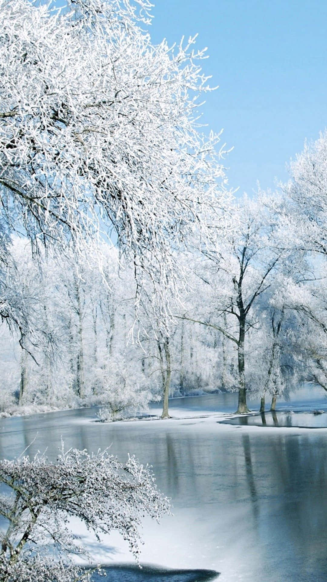 Winter Landscape, Snow-laden trees, Serene frozen river, Full HD Phone Wallpaper
