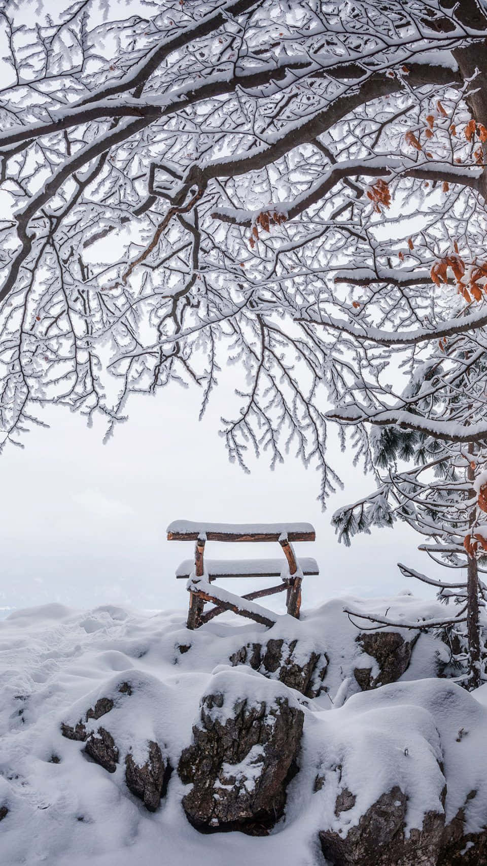 snow-covered wooden bench, rocky outcrop, canopy of frosted branches, HD Phone Wallpaper