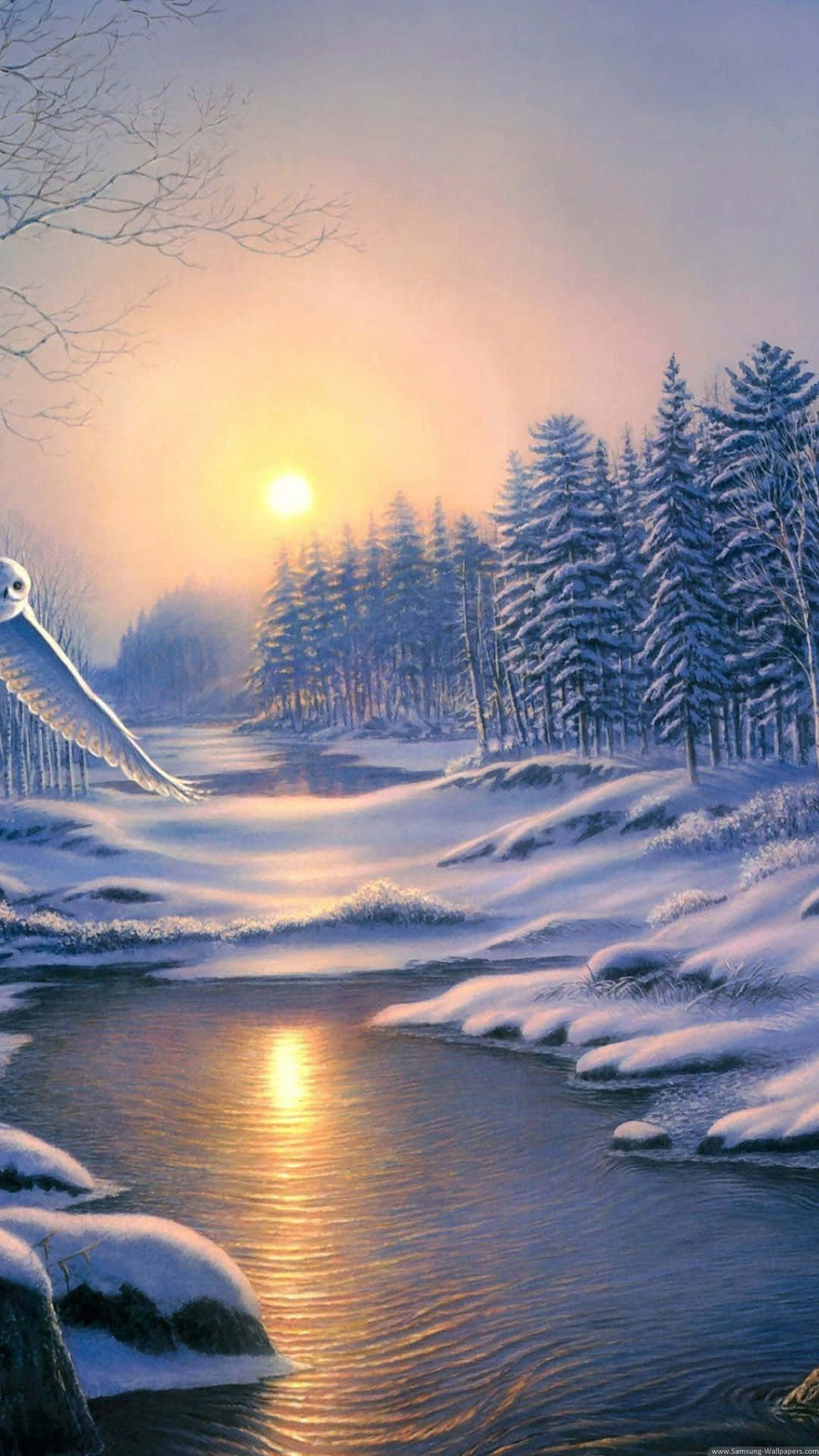 white owl, snowy winter river, golden sunset light, Full HD Phone Wallpaper