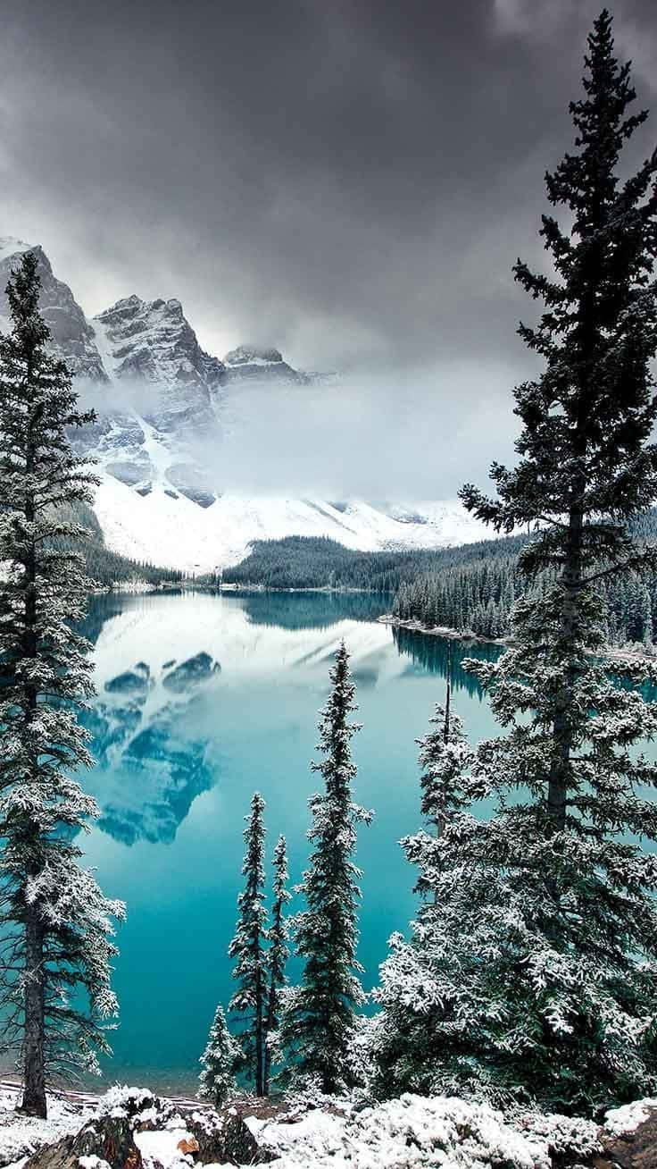 snow-dusted evergreens, vibrant turquoise lake, snow-capped mountains, HD Phone Wallpaper