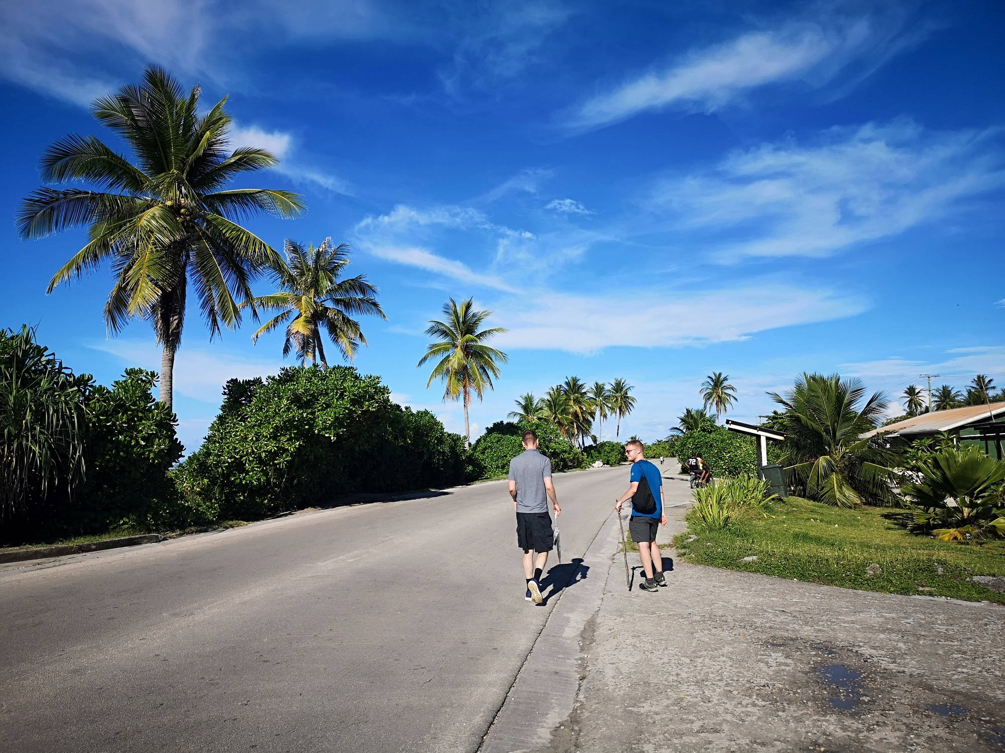 Nauru, tropical road, palm trees, Full HD Desktop Wallpaper