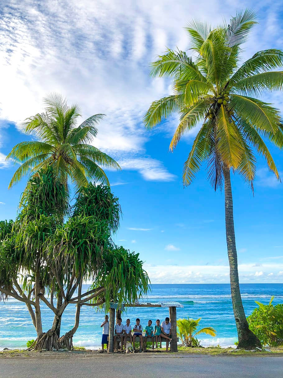 Nauru, wood shed, beach, SD Phone Wallpaper