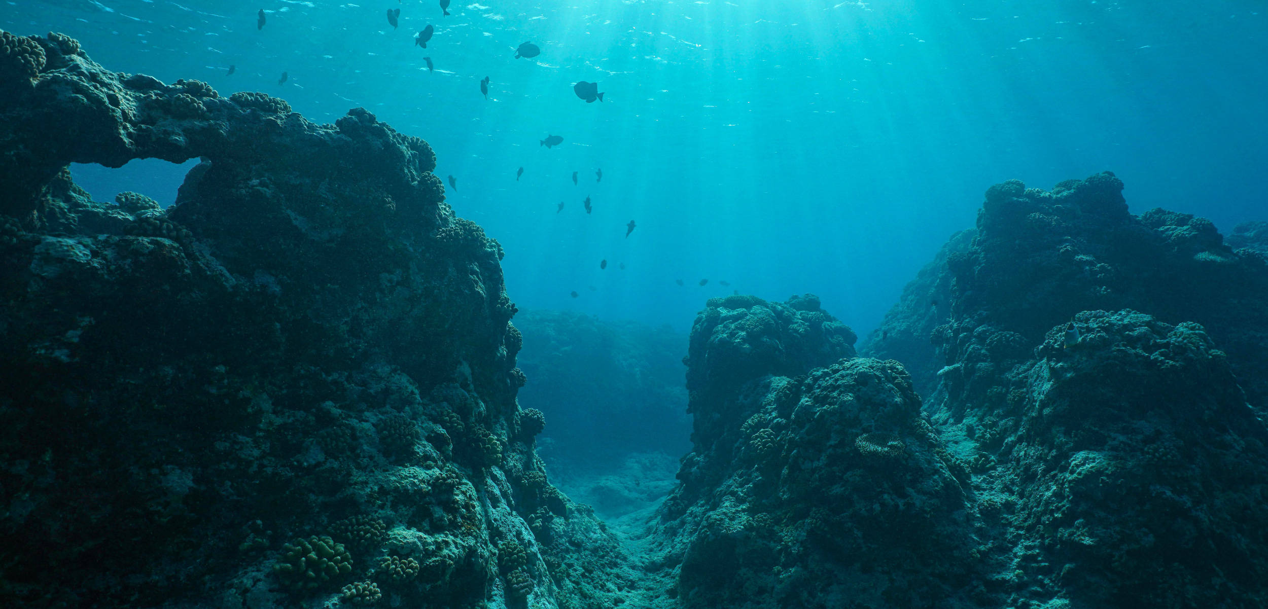 Nauru, turquoise water, rugged coral formations, Full HD Desktop Wallpaper