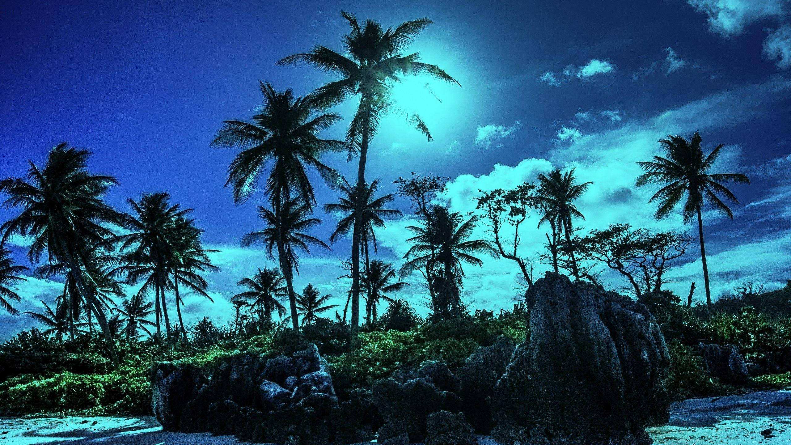 Nauru, tropical island, palm trees, 2K Desktop Wallpaper