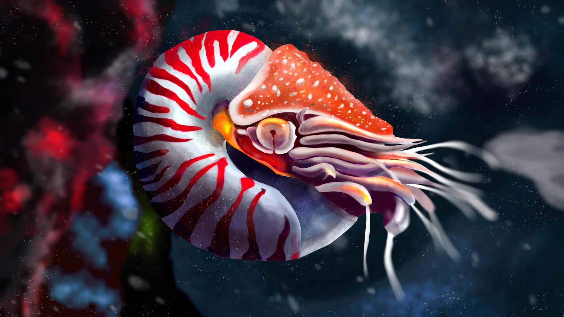 nautilus, red and white striped shell, dark cosmic nebula, Full HD Desktop Wallpaper