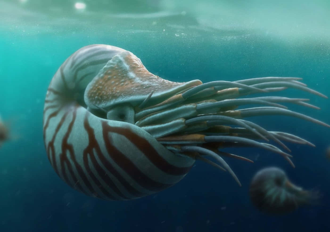 Nautilus, undersea exploration submersible, turquoise ocean waters, HD Desktop Wallpaper