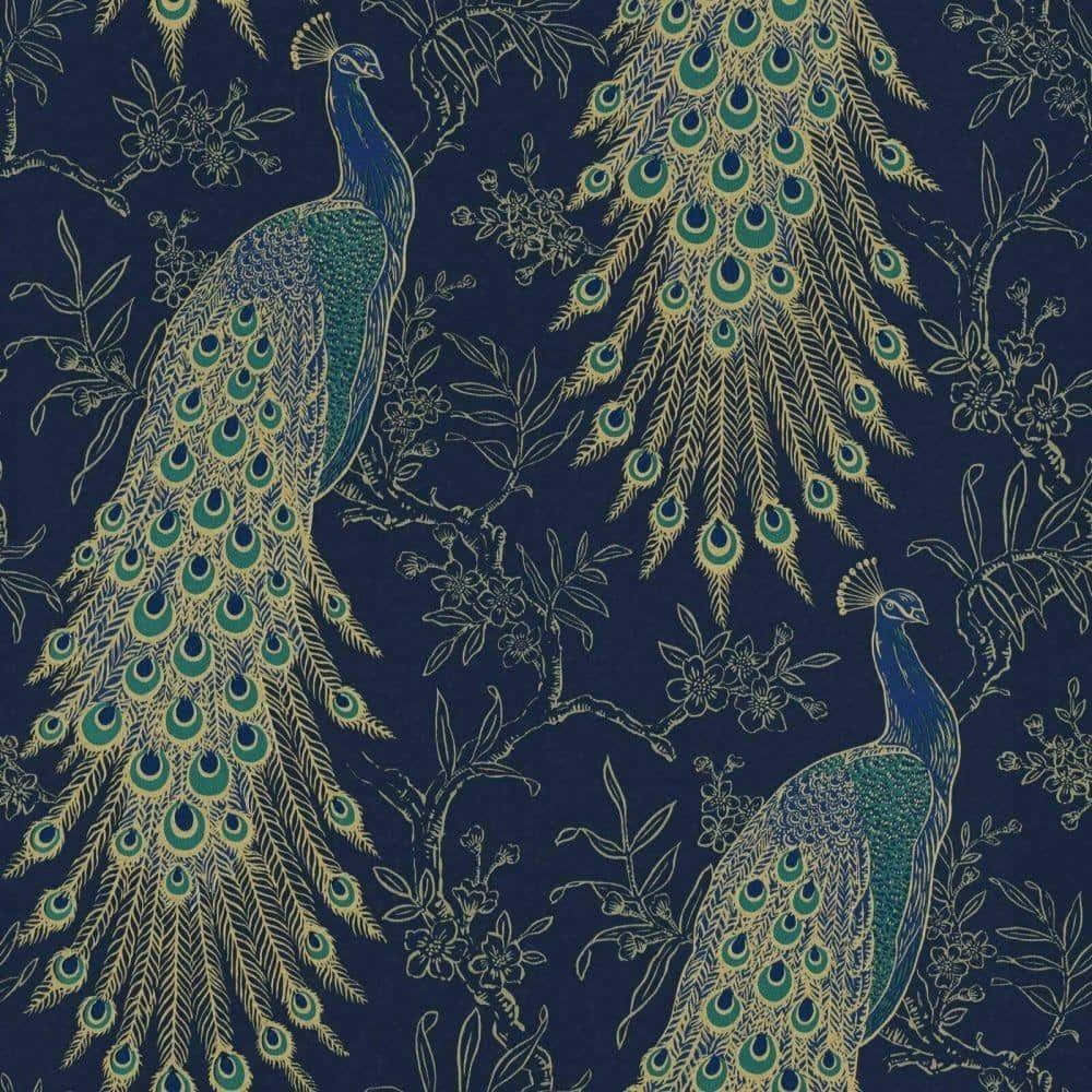Navy And Gold, peacock pattern, iridescent teal and gold feathers, SD Desktop Wallpaper