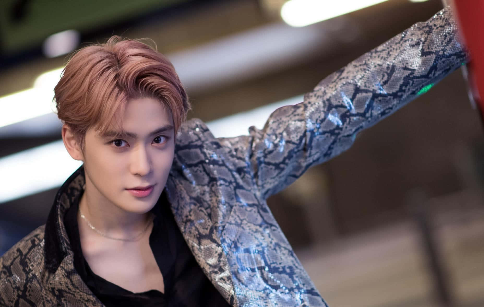 NCT Jaehyun, rose gold hair, shimmering snakeskin jacket, HD Desktop Wallpaper