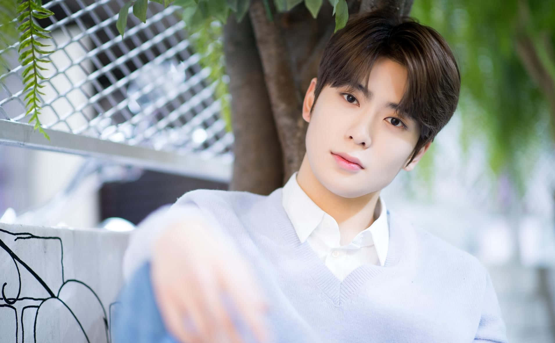 NCT Jaehyun, light sweater, tree, HD Desktop Wallpaper